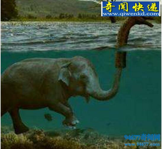˹ˮ࣬ˮʵĿǴ