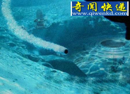 南极洲八大未解之谜,南极无疑是地球上飞碟出现最频繁的地区