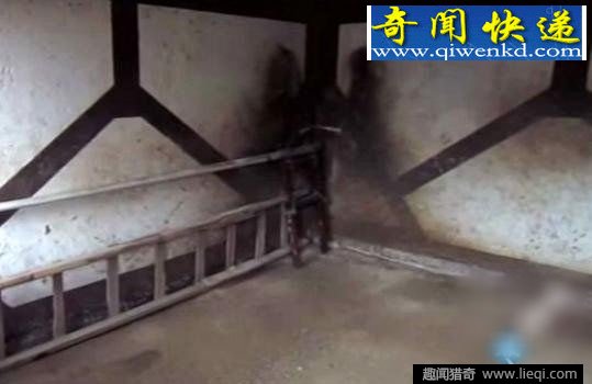 仓库里放了个老鼠夹夹到恐怖怪物