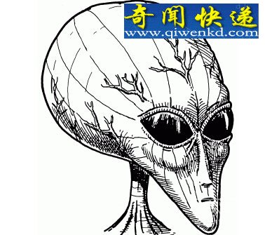 ʮδۣƺǱһڶ֮