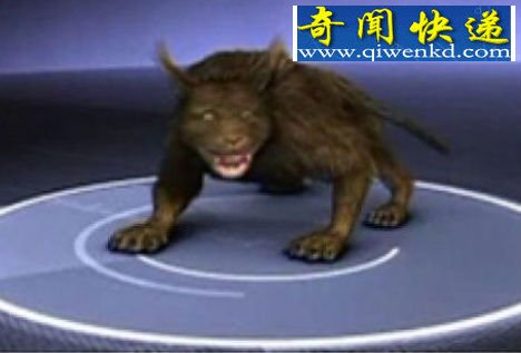 ϸ˵еع: ɹ֮ѧΪ֮񣨶ͼ