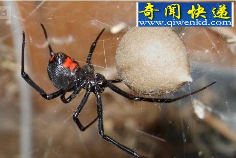裡ȫʮ