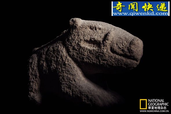 野猪石像,哥贝克力石阵出土 宗教崇拜点亮文明之光:探访哥贝可利石阵