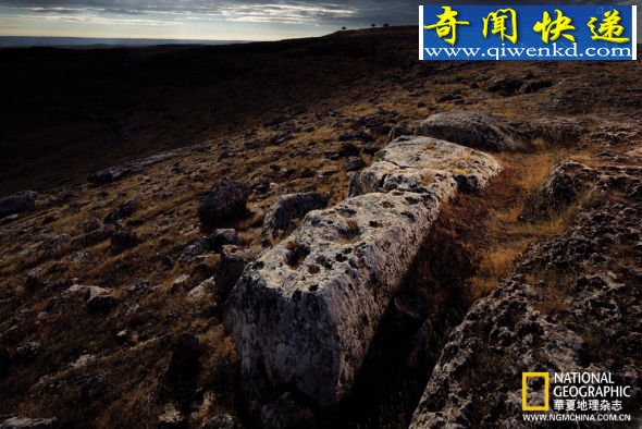 考古学家在哥贝克力石阵附近的石灰岩山丘上发现了一根挖了一半的石柱,站在远处的土堆上就能看到 宗教崇拜点亮文明之光:探访哥贝可利石阵