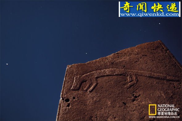 一根雕刻这细长狐狸的石柱,伫立在星空闪烁的夜空下,为了保护易遭到损坏的浮雕,考古学家计划今年为遗址盖个屋顶 宗教崇拜点亮文明之光:探访哥贝可利石阵
