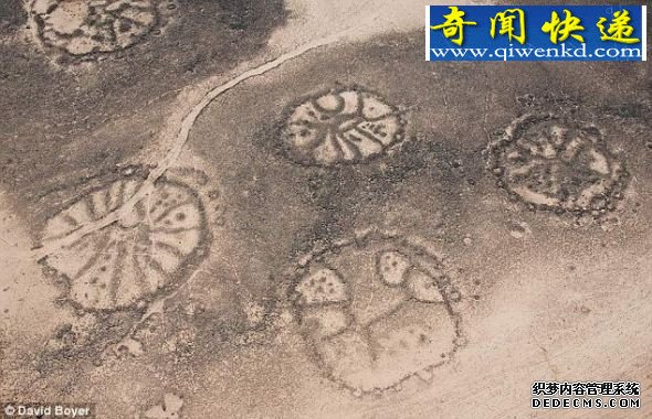 这些石轮的年代据信可追溯到2000年前 (图文)中东荒野发现数千个2000年前石轮怪图