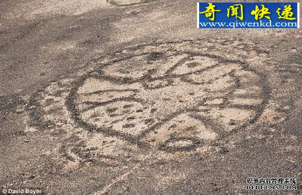 这些类似纳斯卡线的图案似乎与天文现象没有任何联系 (图文)中东荒野发现数千个2000年前石轮怪图
