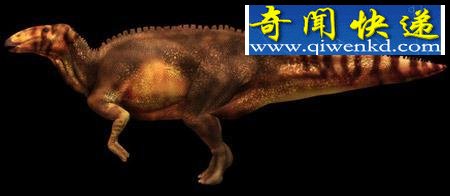 ͼо6500ǰɽ䶾¿ 