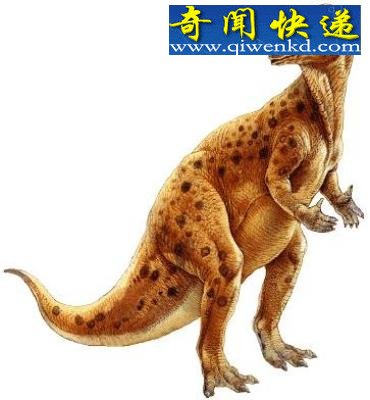 ͼʷǰص10ֿСè൱