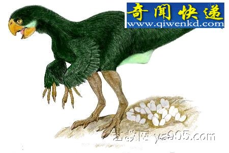 ͼʷǰص10ֿСè൱