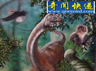 (多图)世界10大无解神秘事件 刚果恐龙真的存在?