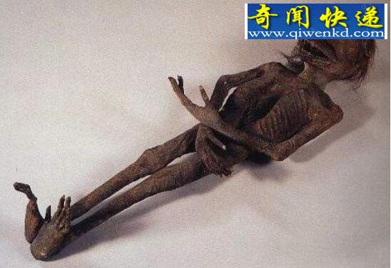 揭秘杜立巴石碟之迷,杜立巴石碟外星人疑似现身