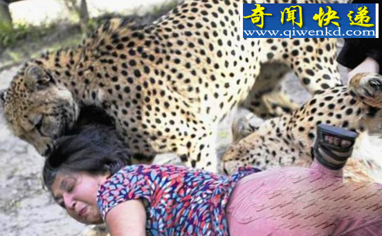 女子和猎豹合照突发一幕让其后悔不已