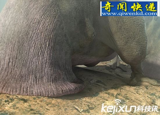 外星是食肉动物,世界上存在的八种外星人!