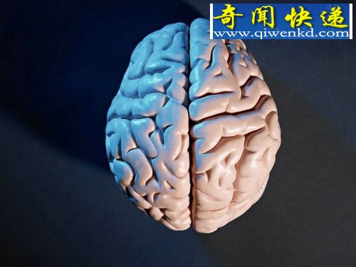 人类身体10大天生缺陷 看看你有没有