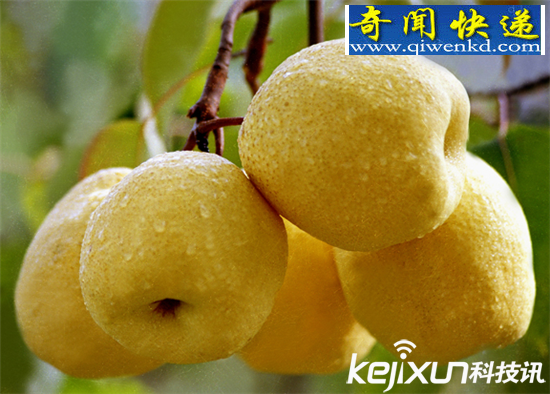震惊,最常吃水果竟堪比砒霜