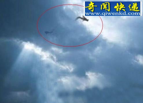 �����й����϶������ʮ�������¼�