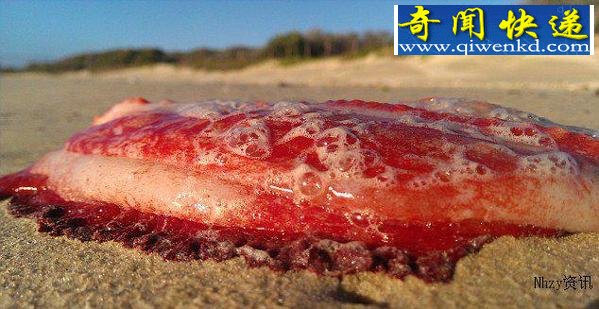 �ĺ�̲�������ء�������ɫ���� �����