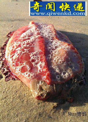 �ĺ�̲�������ء�������ɫ���� �����