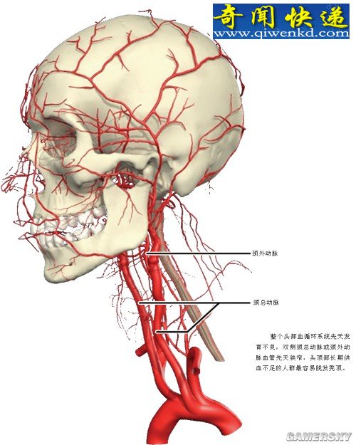 ��������ˮ����������ʳ�Գ桱 ��������ϸ��