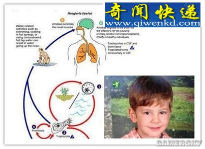 ��������ˮ����������ʳ�Գ桱 ��������ϸ��