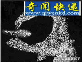 ��������ˮ����������ʳ�Գ桱 ��������ϸ��