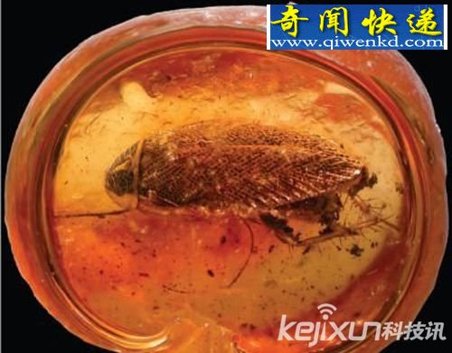 ֲ���ͨѶ����������Ϣ ��ѧ�ҷ���ʱ�����ζ���