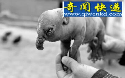 ����һĸ�����¡��󱦱��������ӳ���4����