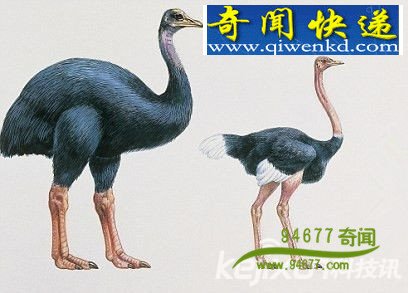 ����ѧ��֤ʵ̫��ϵ�����ֻ� ��³ɳĮ����3500����ǰ����ʯ