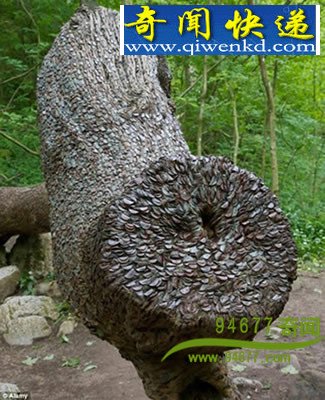 Ӣ����ҡǮ���� ����Ӳ�� ʷǰ������ǿ׳����