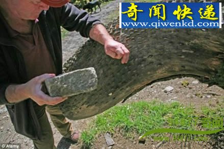 Ӣ����ҡǮ���� ����Ӳ�� ʷǰ������ǿ׳����