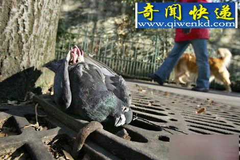 天上掉钱?天降“怪物”大盘点