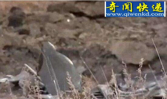 揭秘俄罗斯ufo事件真相,神秘飞行物不属现代制造