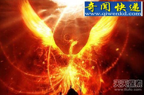 �й��Ŵ�ufo�¼��ع�