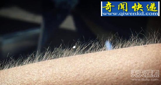 ȫ���������� �����ӿ�������Ը߳�