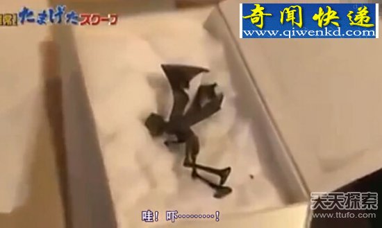 ũعľ