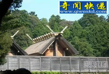 ʮ���������ؽ��� 51����������