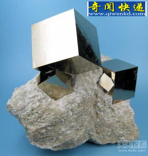 一辈子都没有见过的40张图