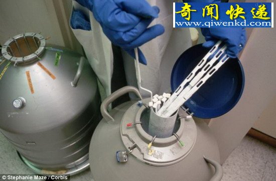 日本濒危物种精子银行计划在火星复活它们