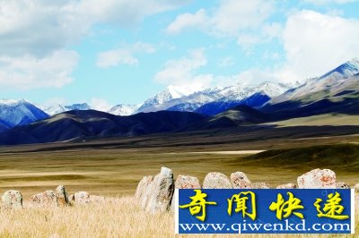 ½ʯͷԹ ʯͷԹﵽײʲô