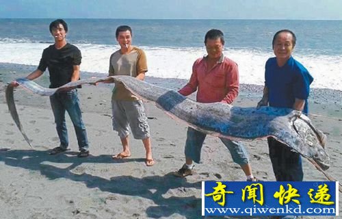 男子钓到巨型地震鱼 长5米