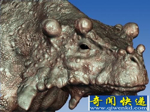 史前丑陋生物:体型似牛长满骨瘤