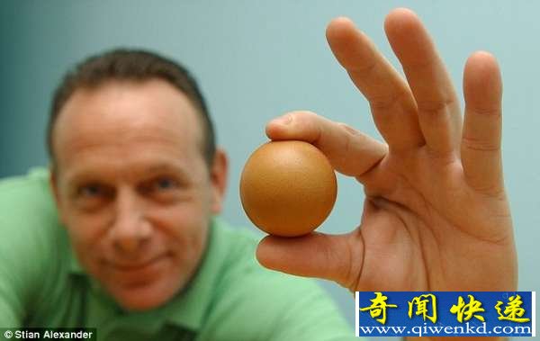 出现几率为“十亿分之一”超圆形鸡蛋