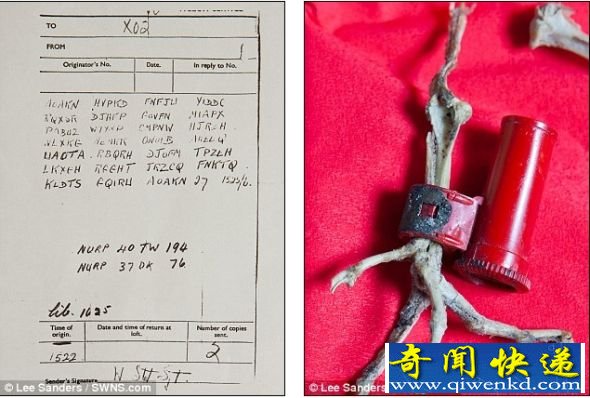 սʱŸźЯܵ类ɹ(ͼ)