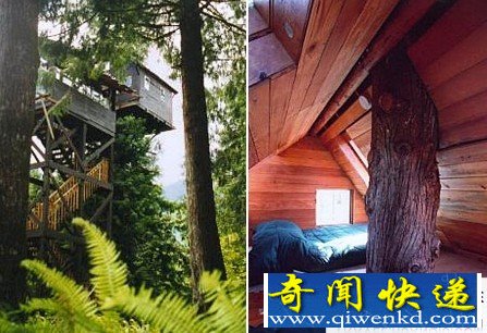 奇特的袖珍酒店房间