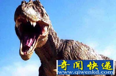 我们永远也不会看到恐龙被克隆出来