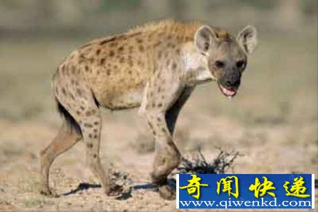 20ֶ콻䷽ʽ̵ Һʾ