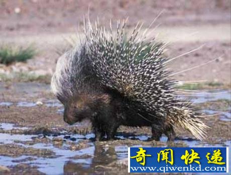 20ֶ콻䷽ʽ̵ Һʾ
