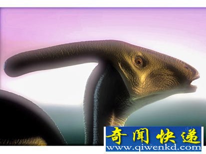 ͼ̵ʷǰ5ؿ
