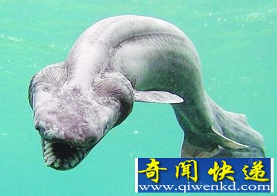 ̵5ֶʯӵкɫѪҺ 